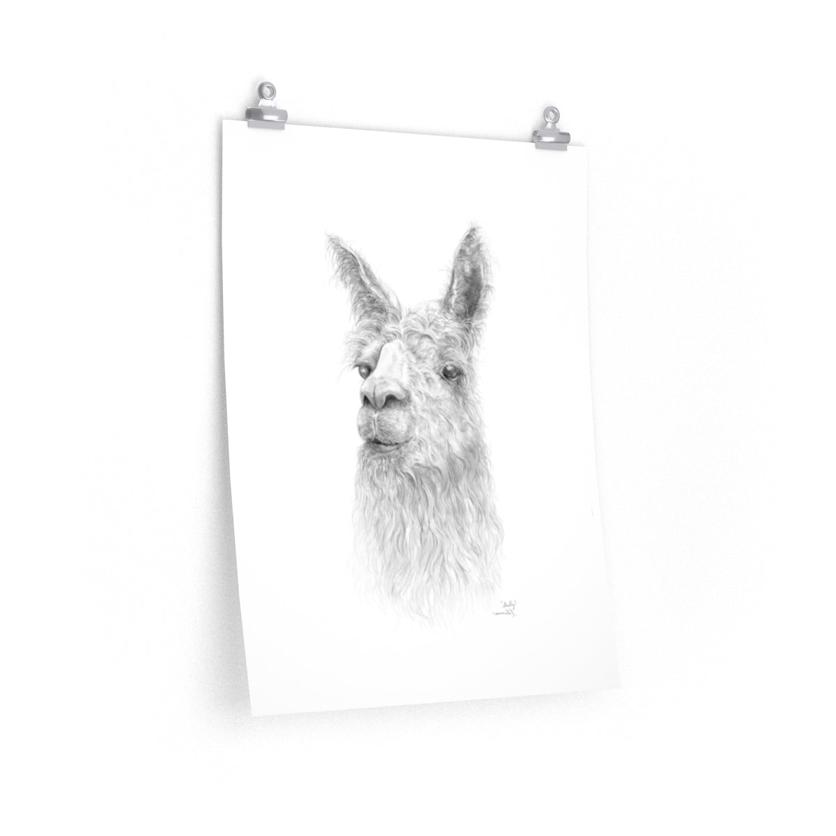 SHELLY Llama- Art Paper Print