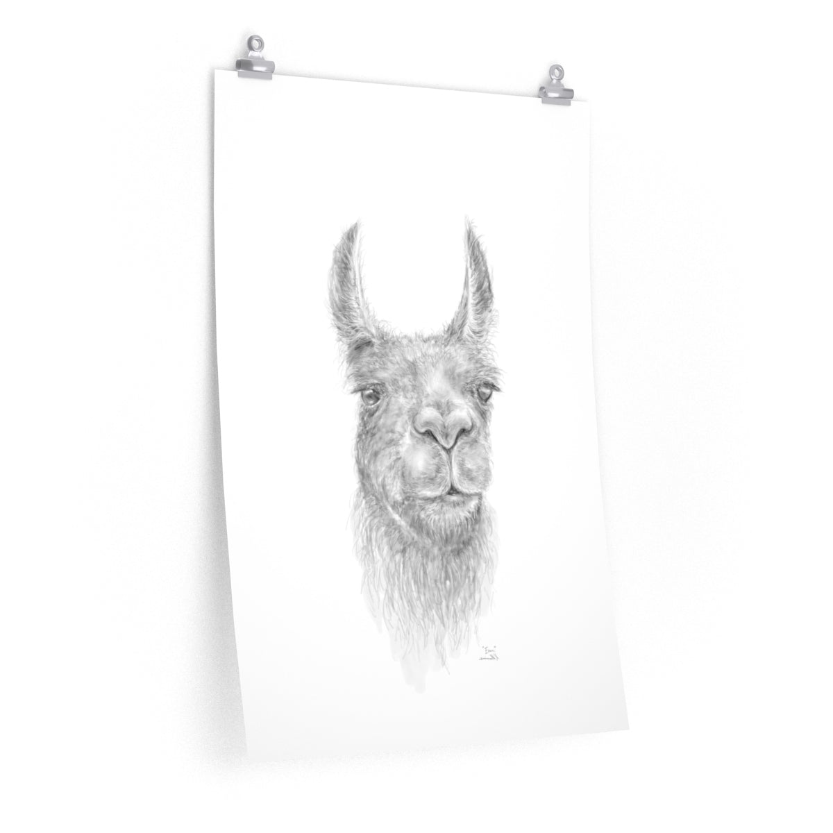 EVAN Llama- Art Paper Print