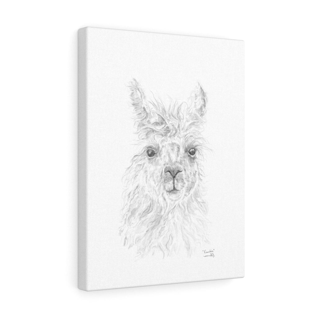 FRANKIE Llama - Art Canvas