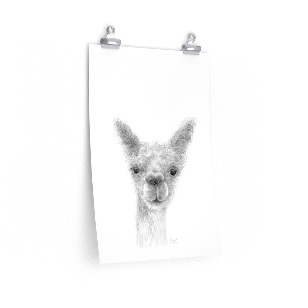 MARGARET Llama- Art Paper Print