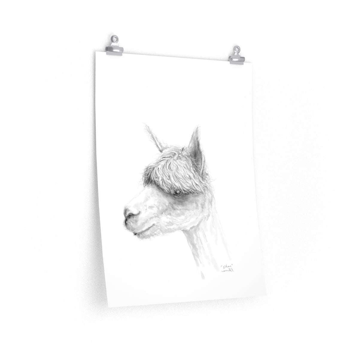 ETHAN Llama- Art Paper Print