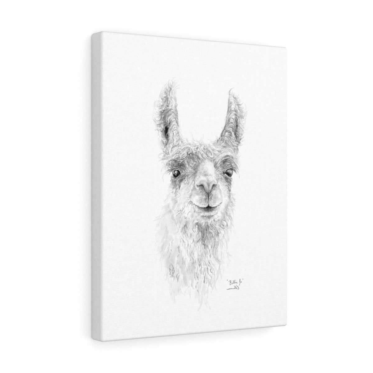 BILLIE-JO Llama - Art Canvas