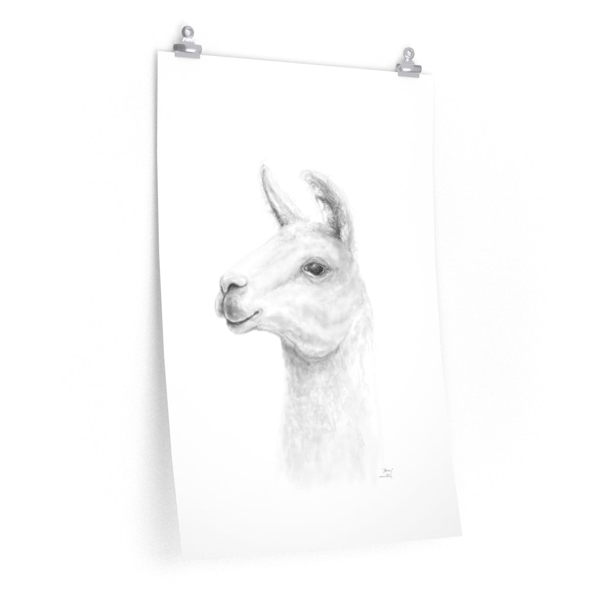 STACY Llama- Art Paper Print