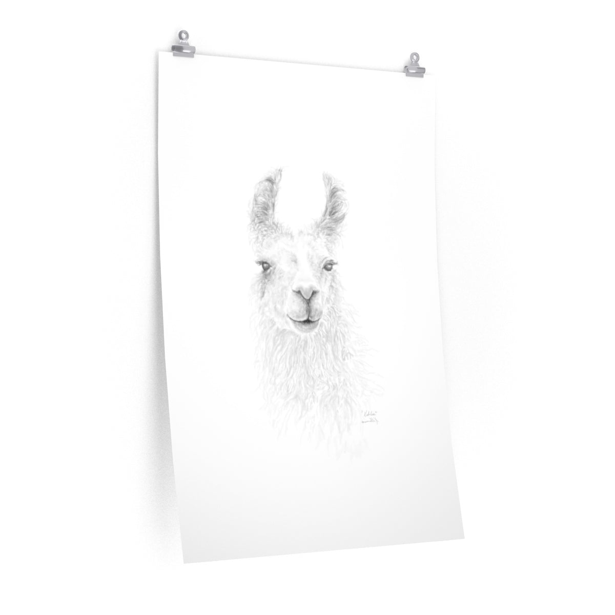 KAHLIE Llama- Art Paper Print