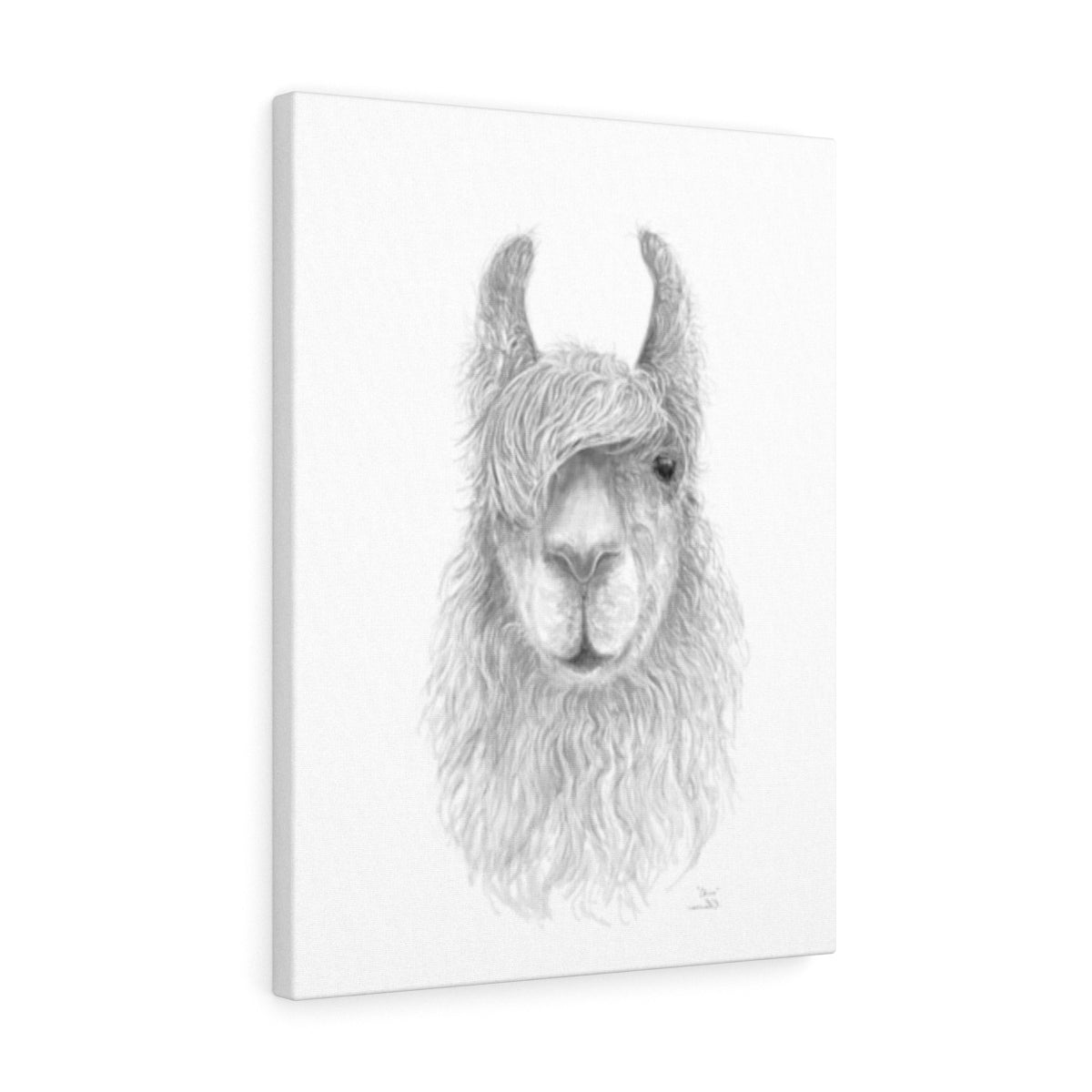CHRIS Llama - Art Canvas