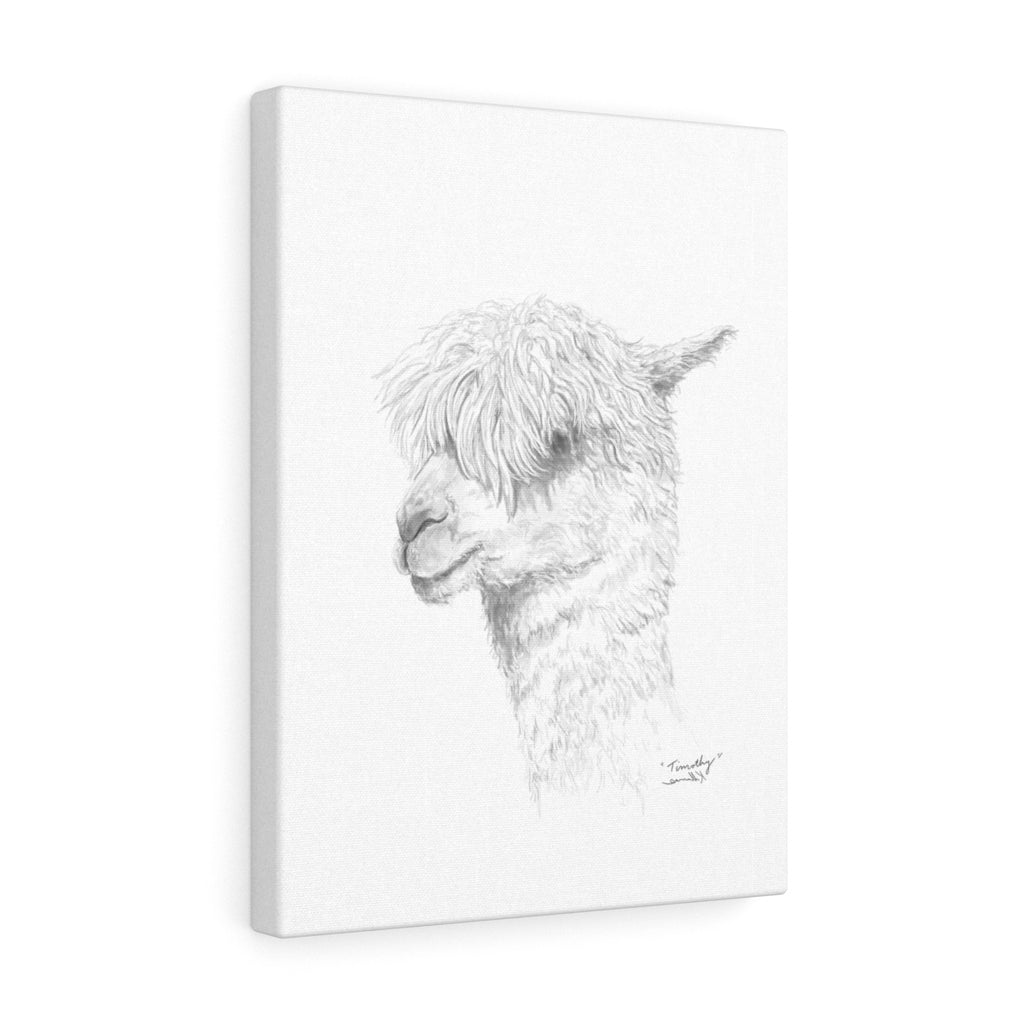 TIMOTHY Llama - Art Canvas