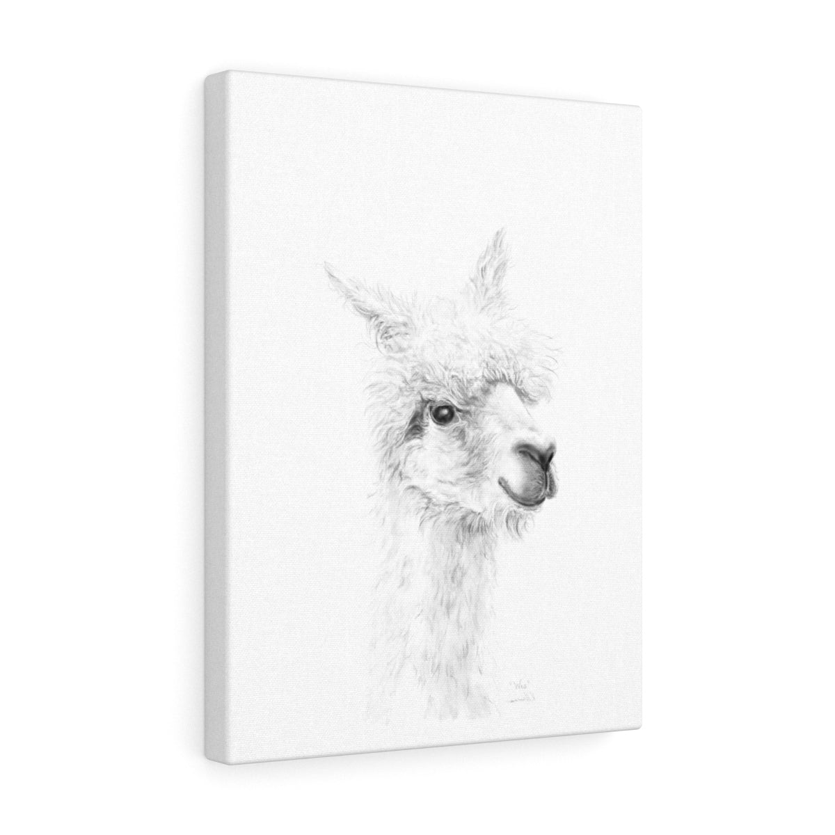 WES Llama - Art Canvas