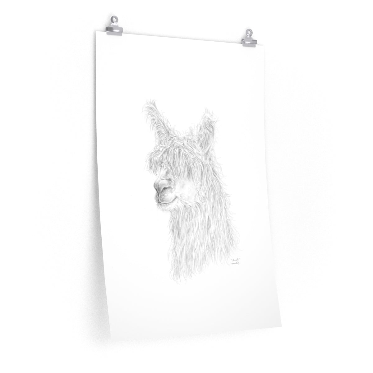 SHONDA Llama- Art Paper Print