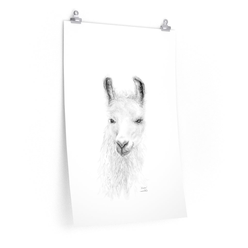 ALISHA Llama- Art Paper Print