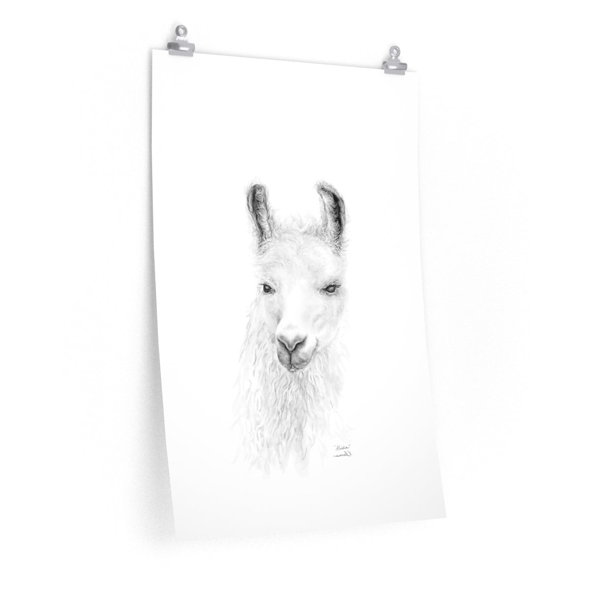 ALISHA Llama- Art Paper Print