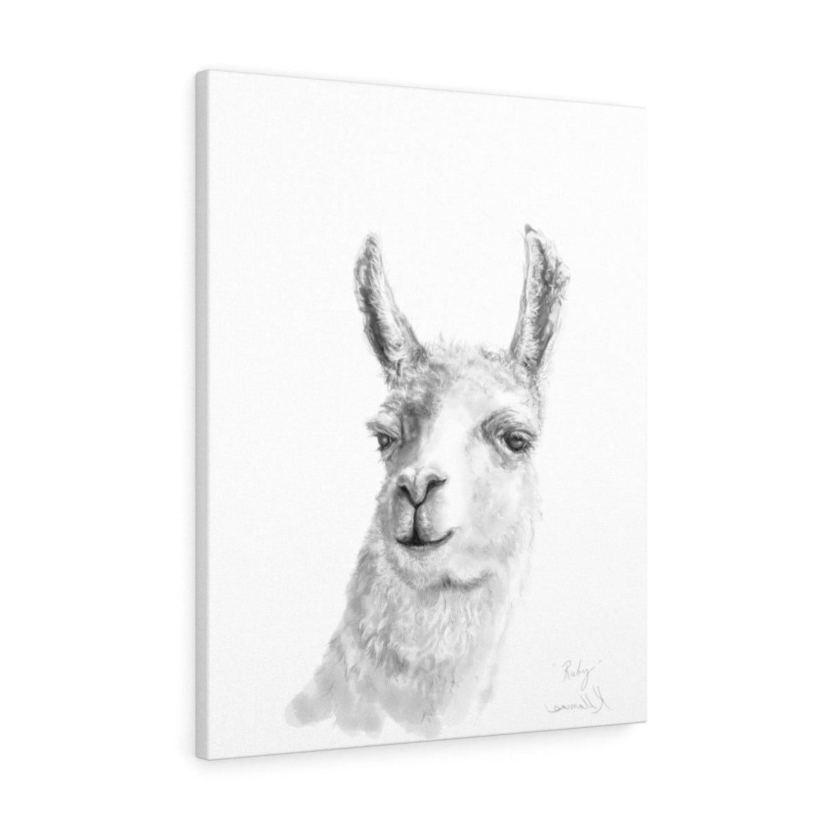 RUBY Llama - Art Canvas