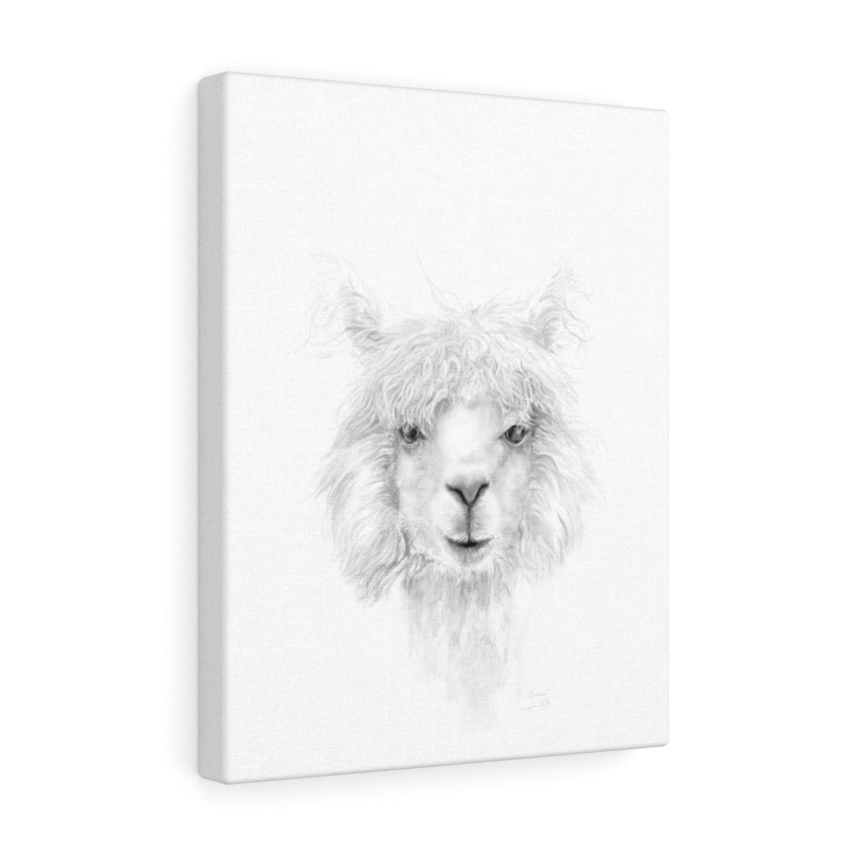 QUINN Llama - Art Canvas