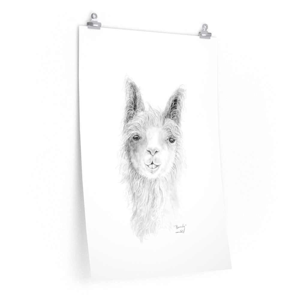 BEVERLY Llama- Art Paper Print