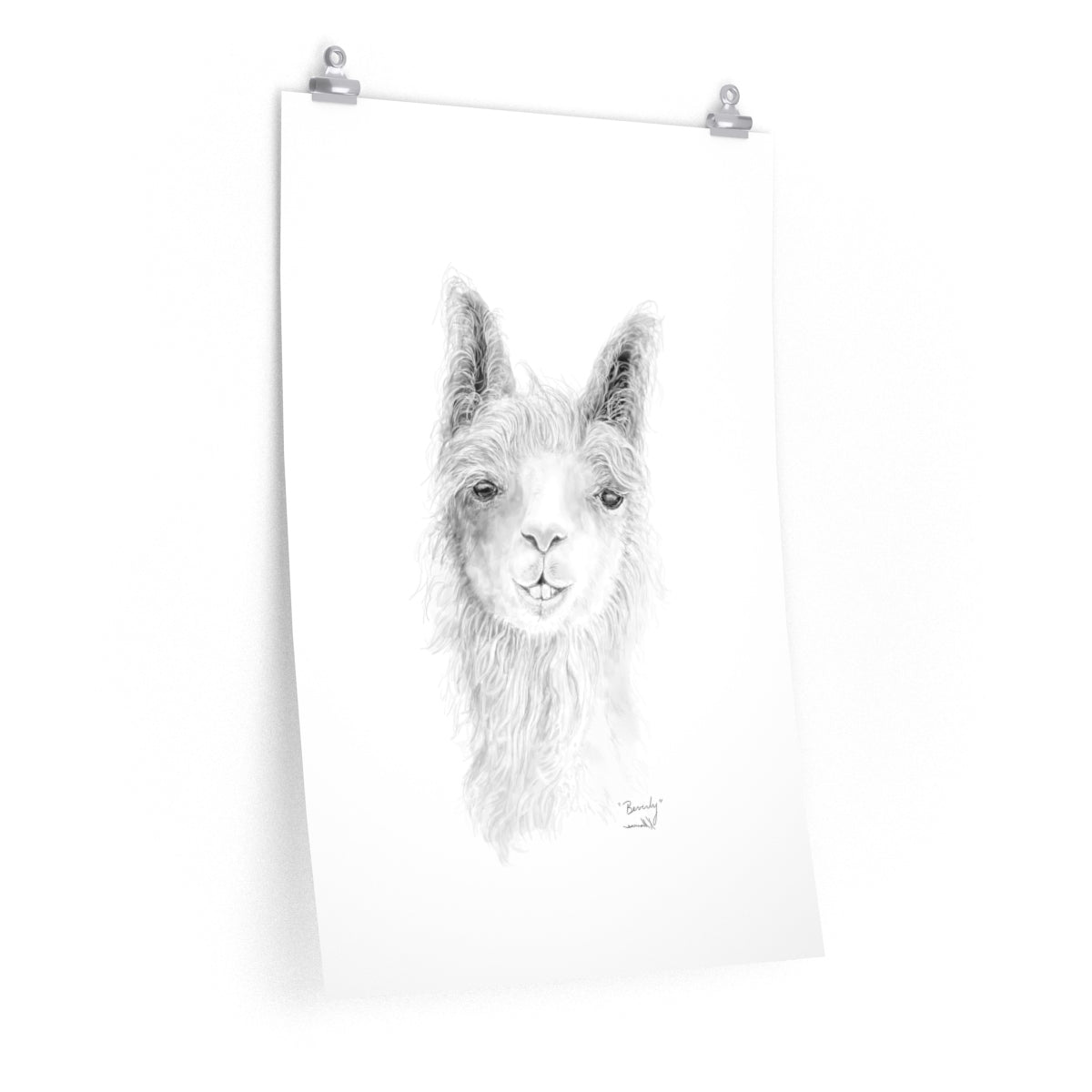 BEVERLY Llama- Art Paper Print