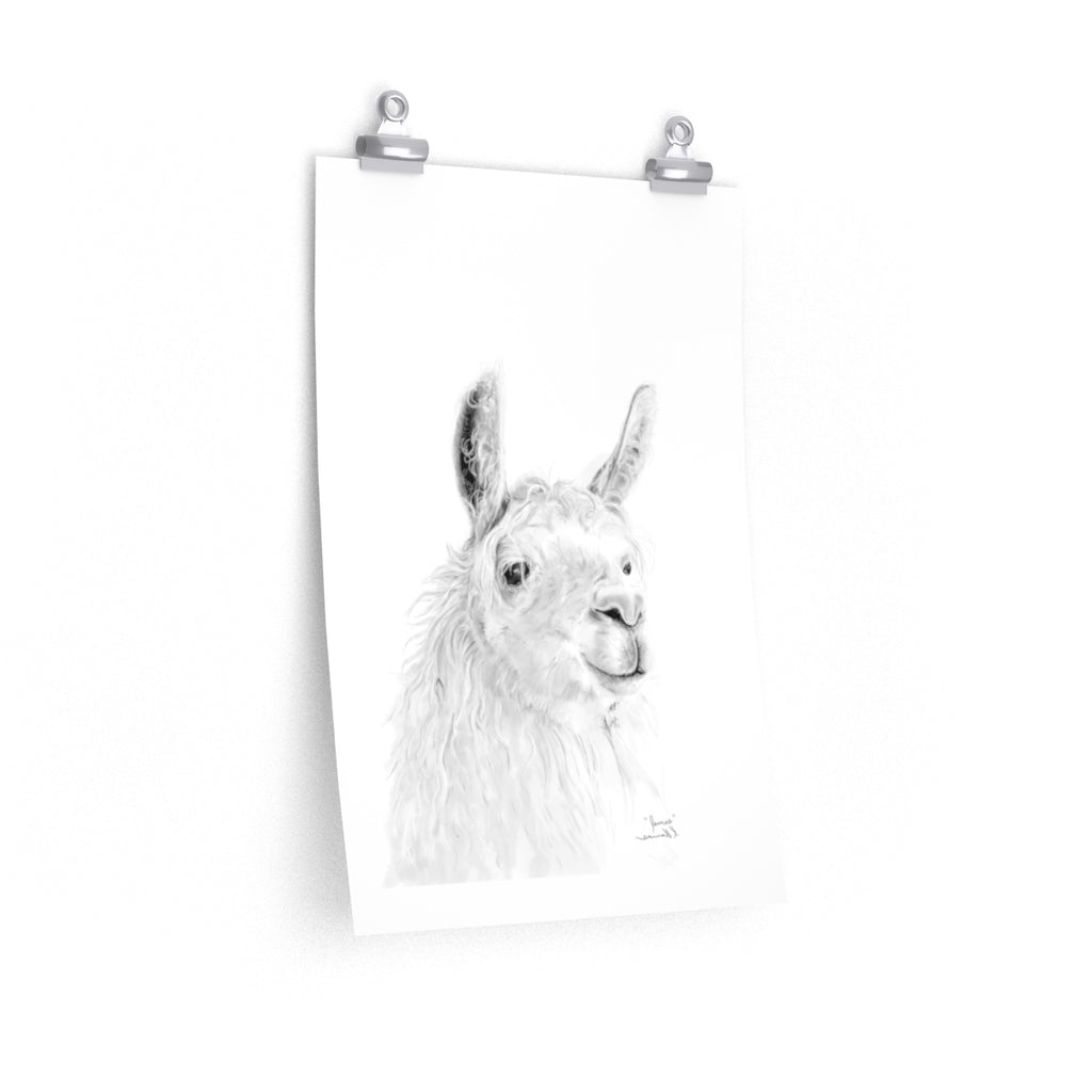 JAMES Llama- Art Paper Print