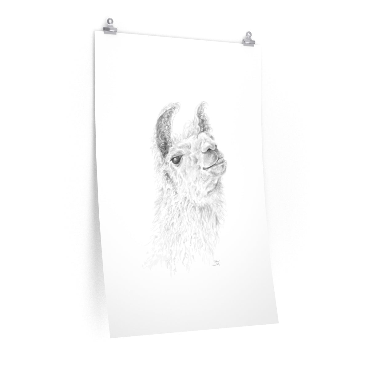 RODNEY Llama- Art Paper Print