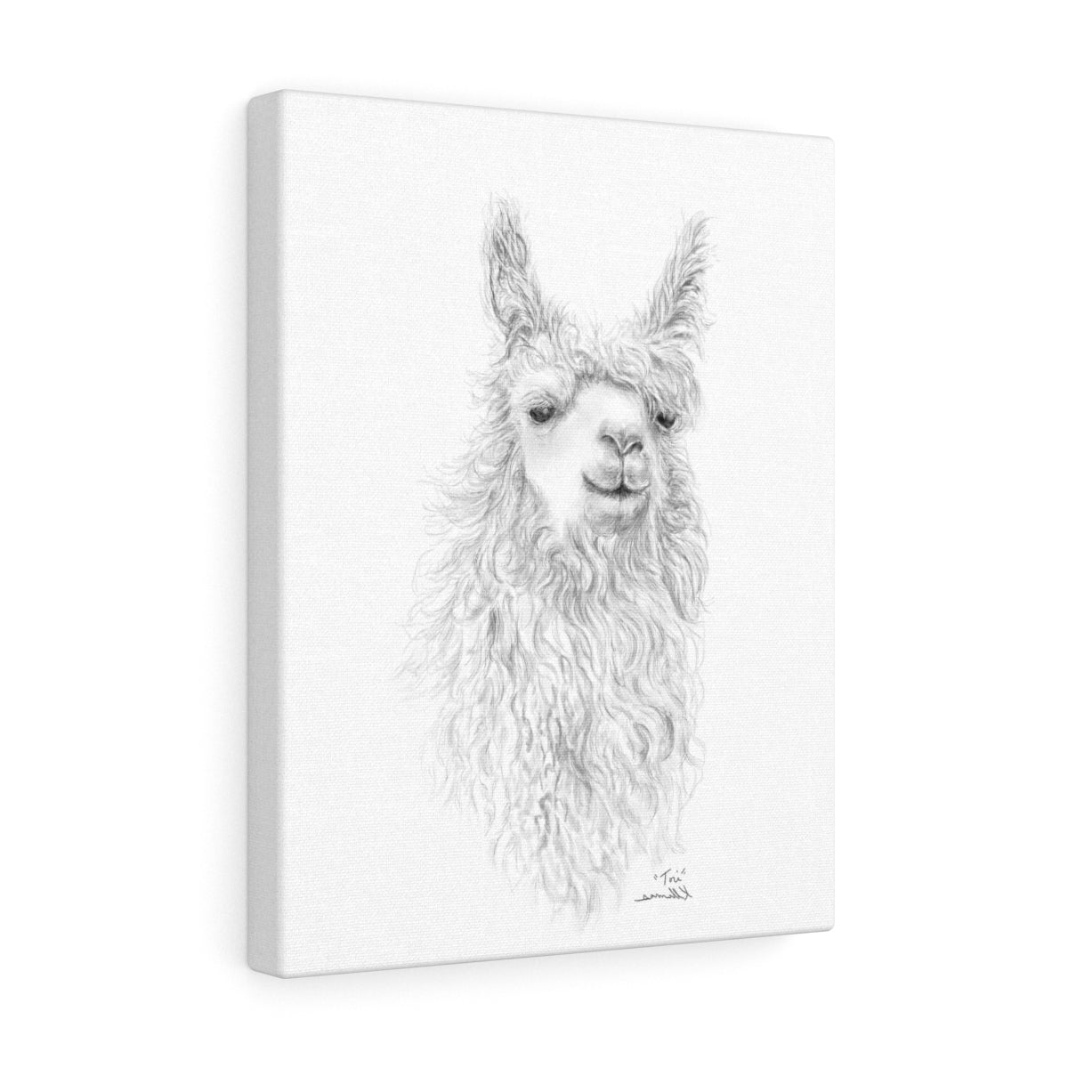 TORI Llama - Art Canvas