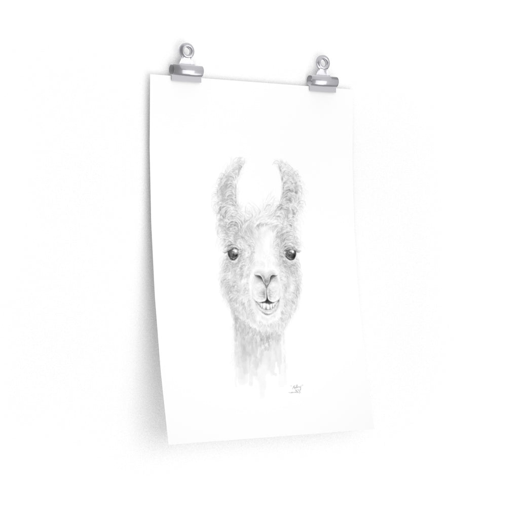 MALLORY Llama- Art Paper Print