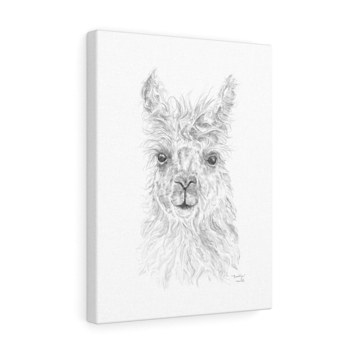 BROOKLYN Llama - Art Canvas