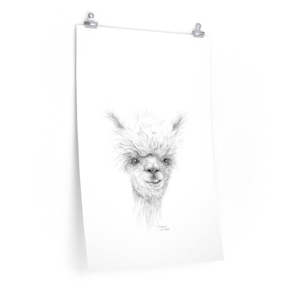 FISCHER Llama- Art Paper Print