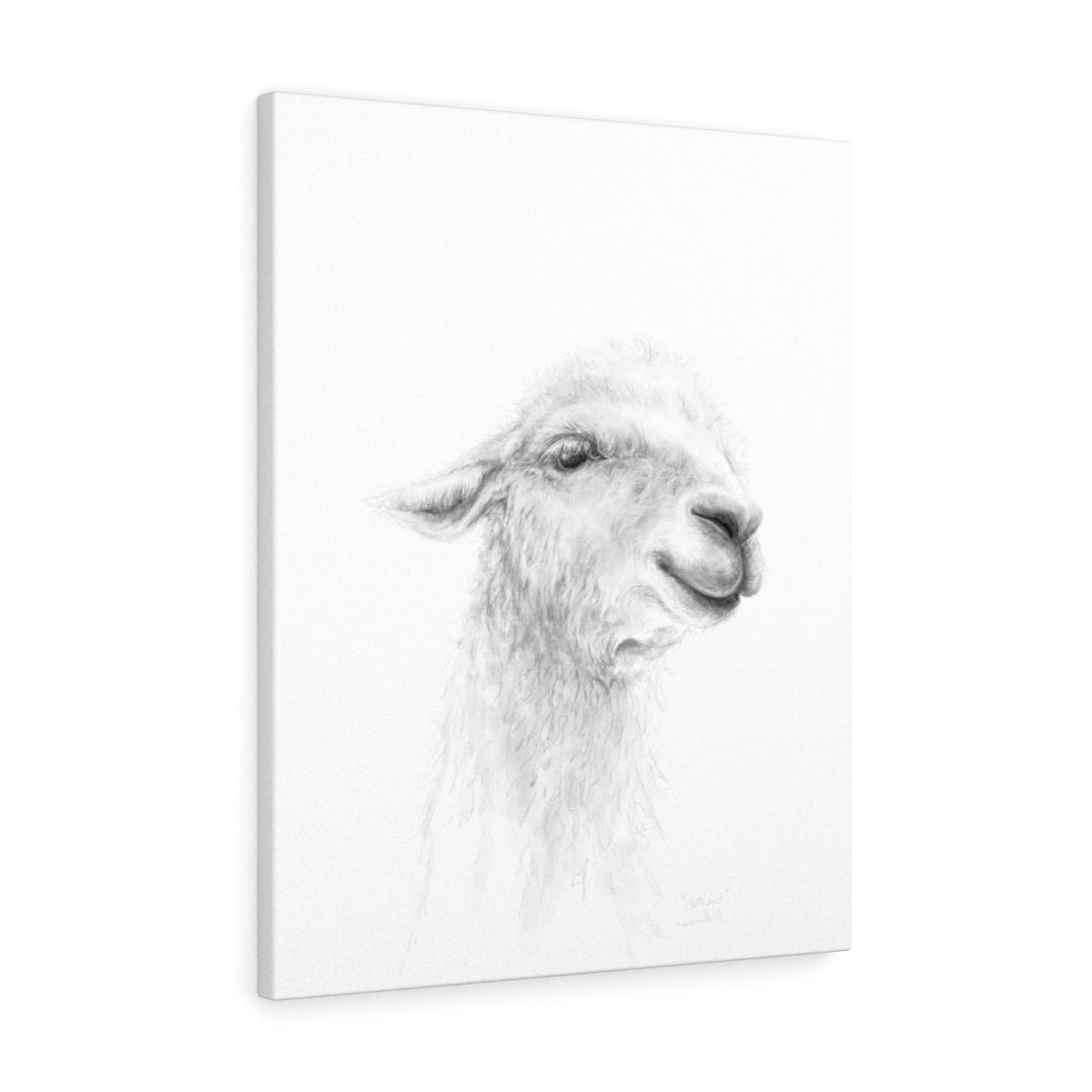MATTHEW Llama - Art Canvas