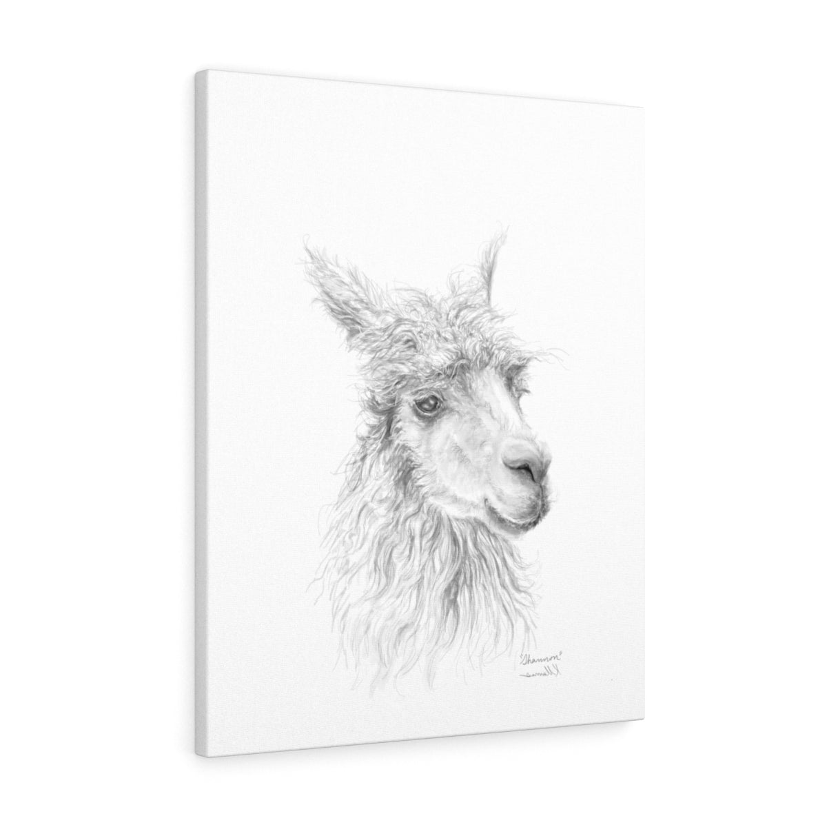SHANNON Llama - Art Canvas
