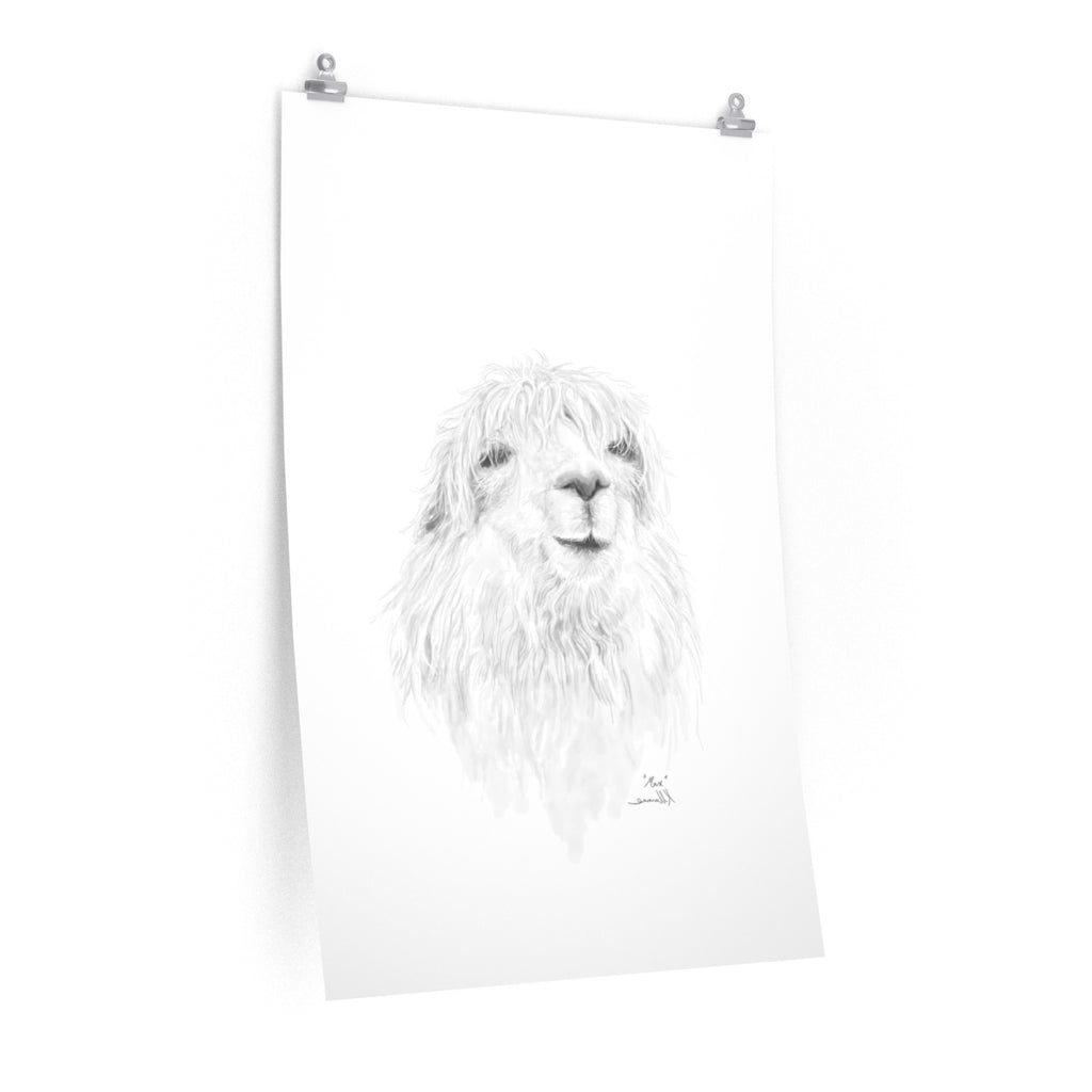 MAX Llama- Art Paper Print
