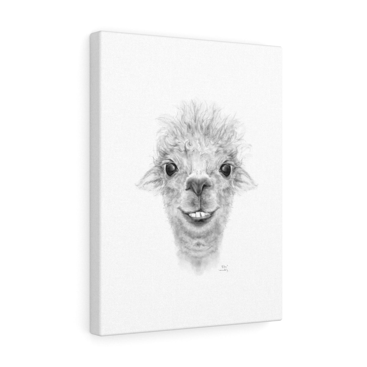 ELLEN Llama - Art Canvas