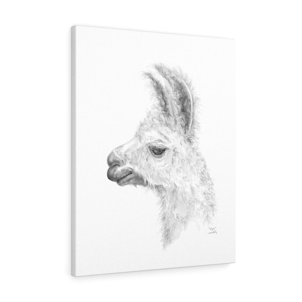 EZRA Llama - Art Canvas