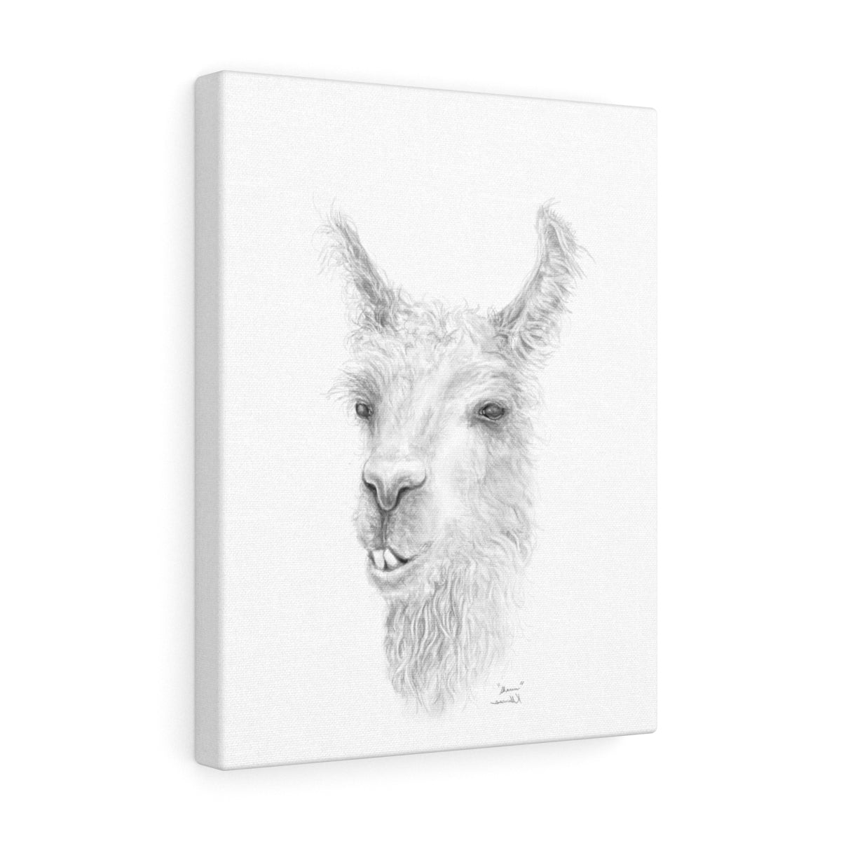 SHAUN Llama - Art Canvas