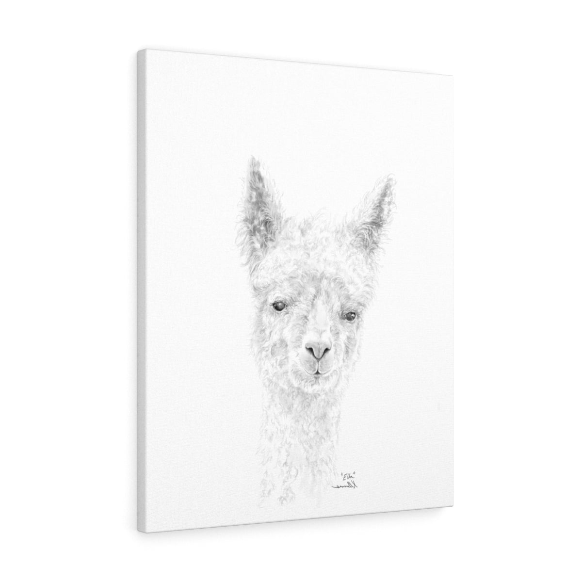 ELLA llama- Art Canvas