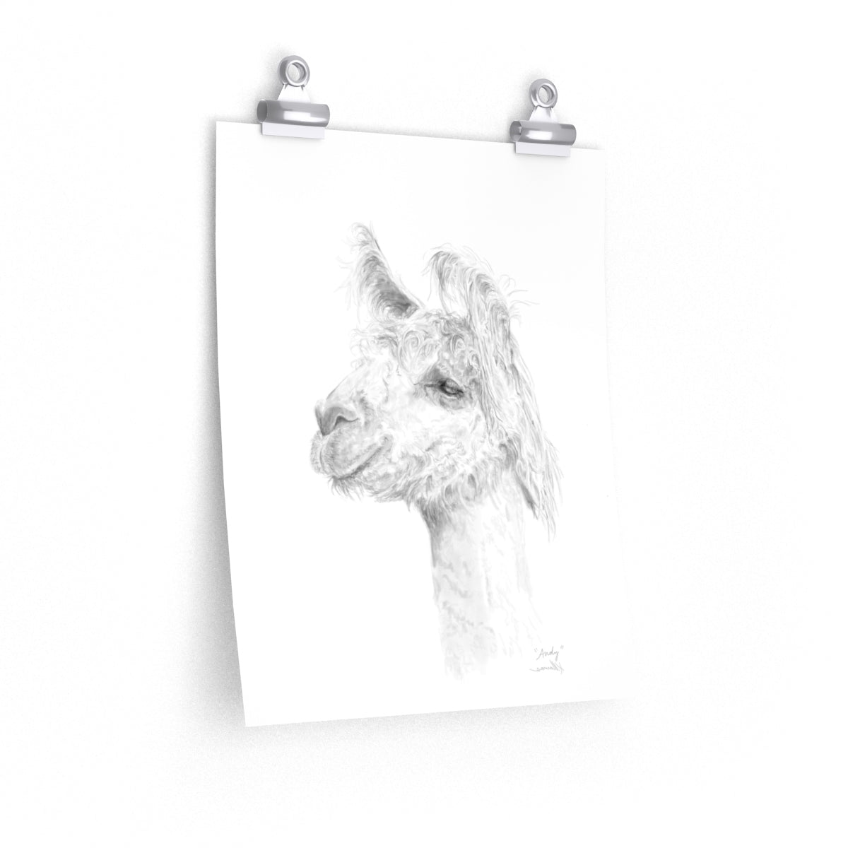 ANDY Llama- Art Paper Print