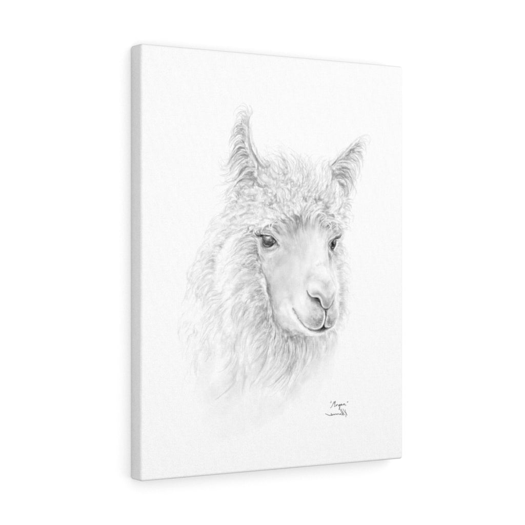 MORGAN llama- Art Canvas