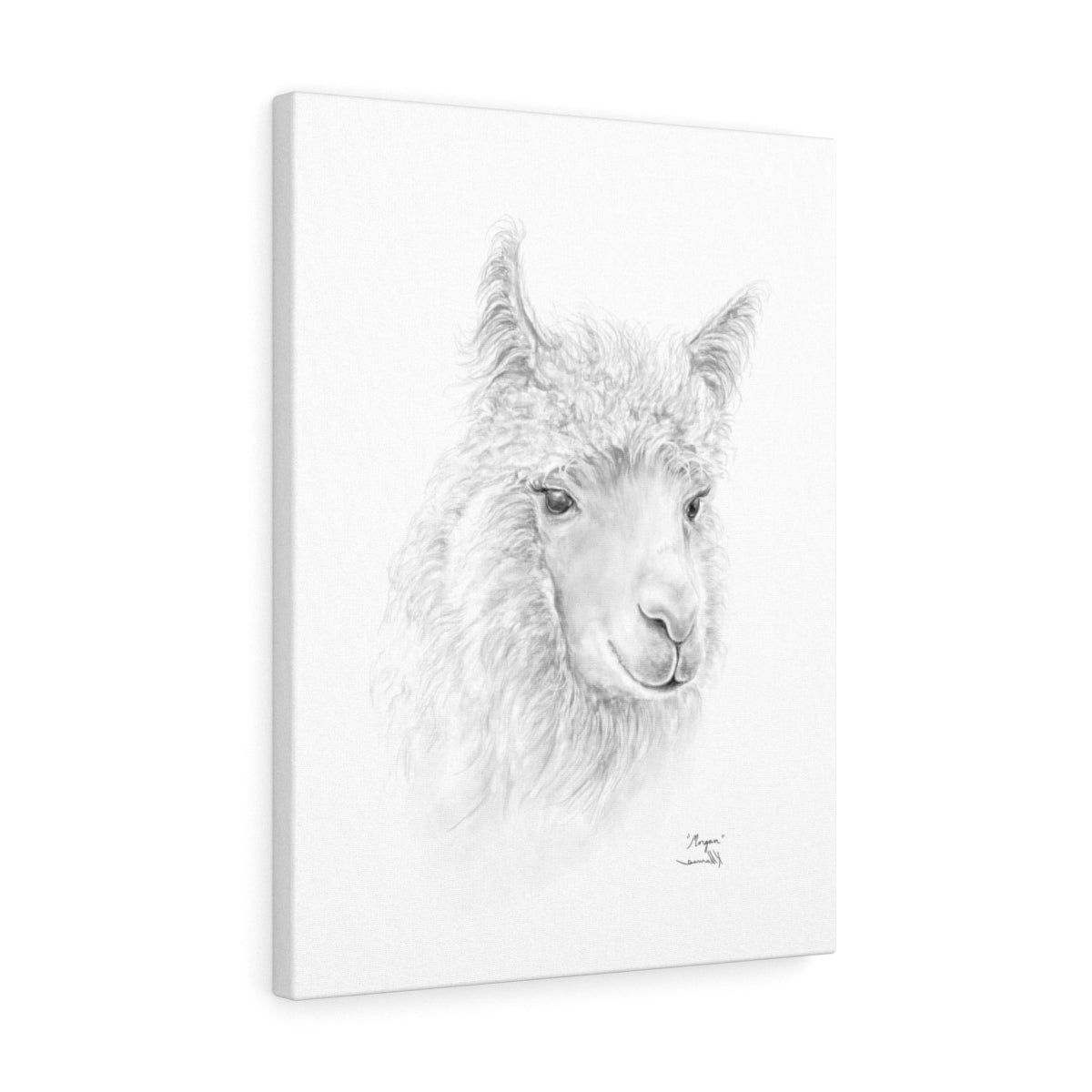 MORGAN llama- Art Canvas