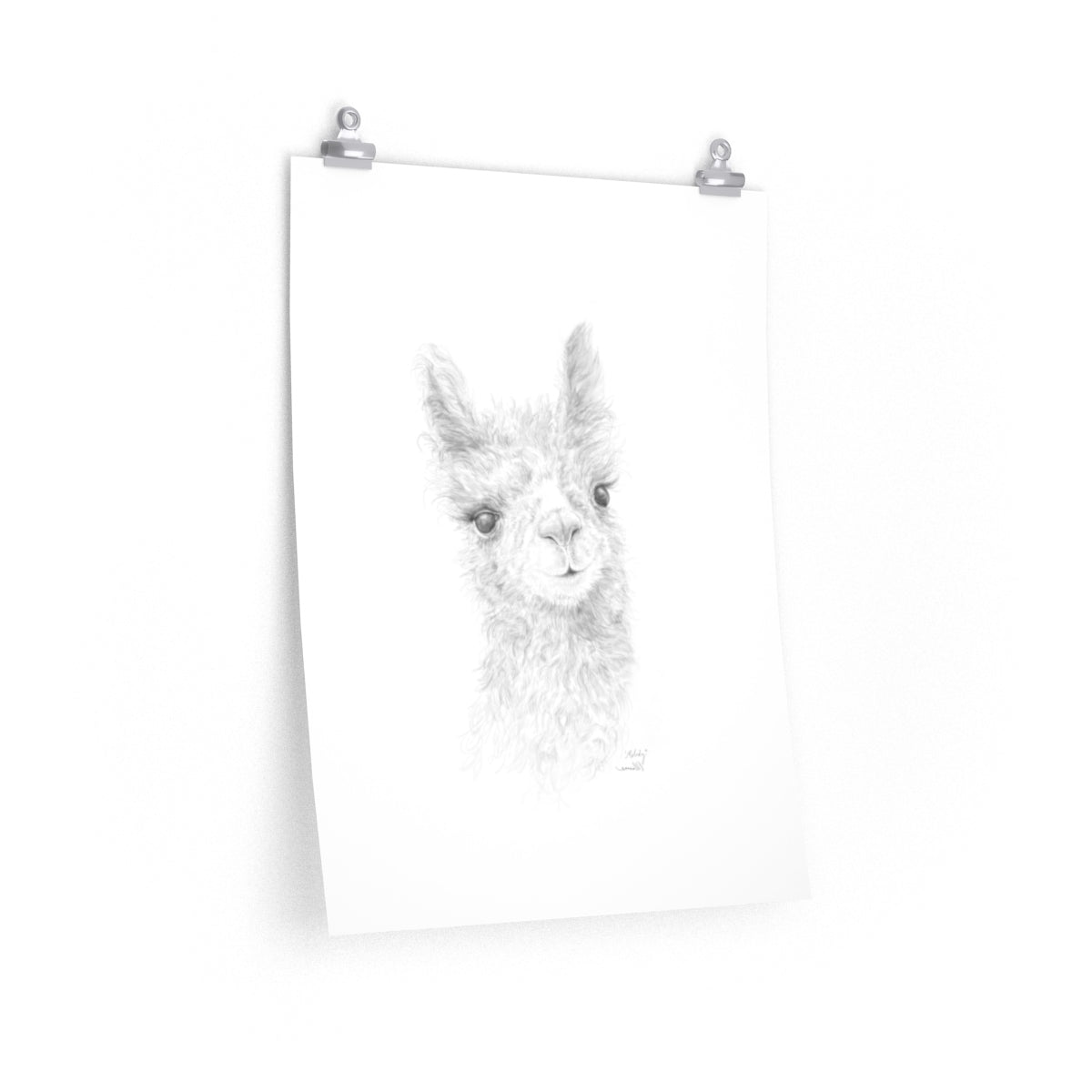 MELODY Llama- Art Paper Print