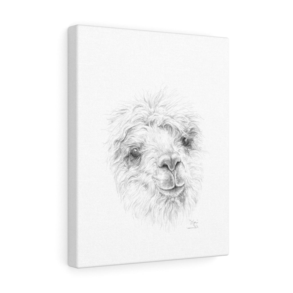 OLGA Llama - Art Canvas