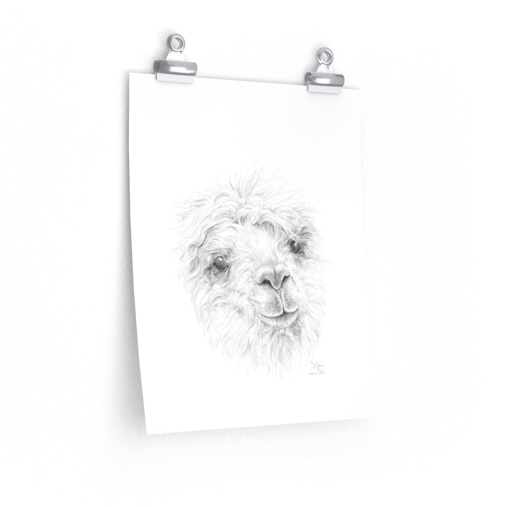 OLGA Llama- Art Paper Print