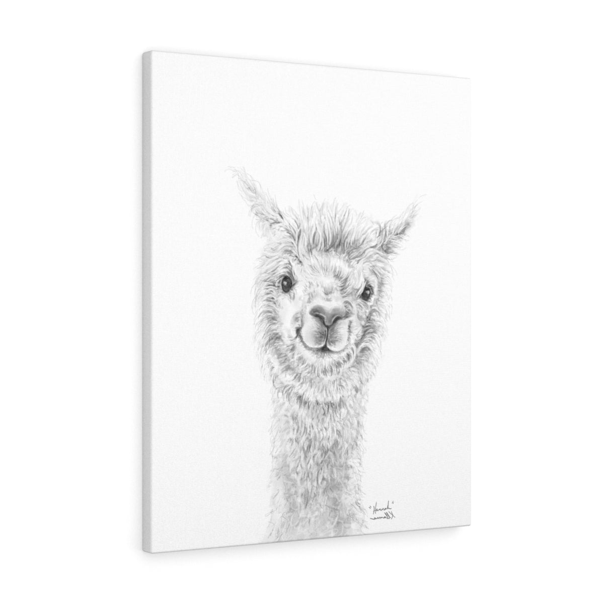 HANNAH Llama - Art Canvas