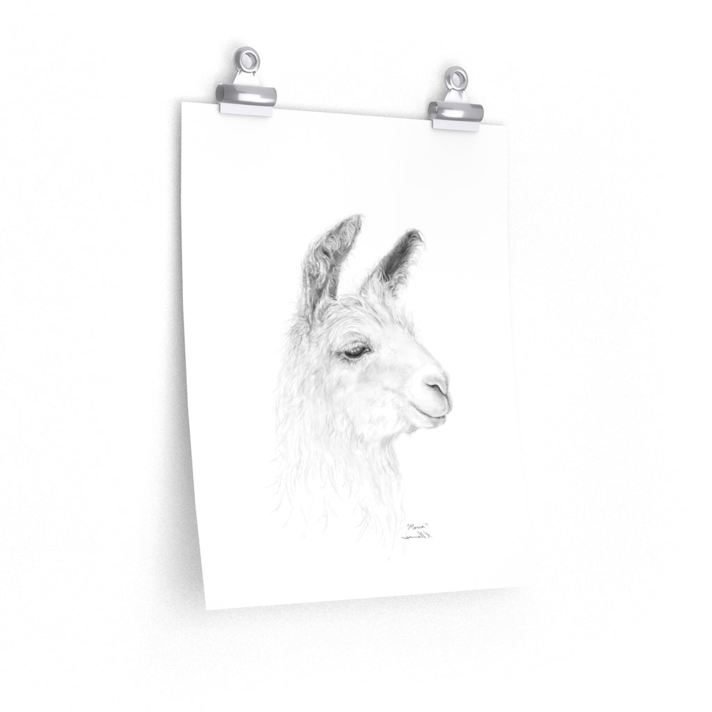 MARIA Llama- Art Paper Print