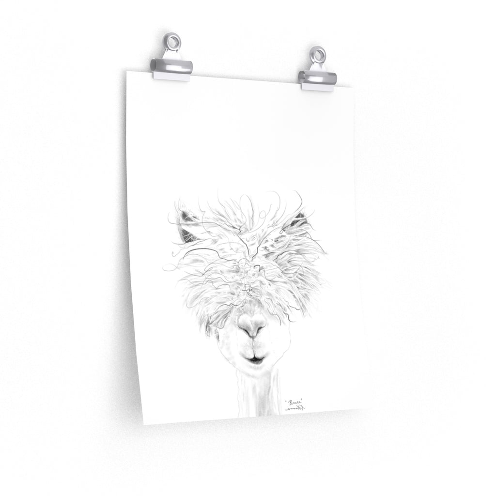 BRUCE Llama- Art Paper Print