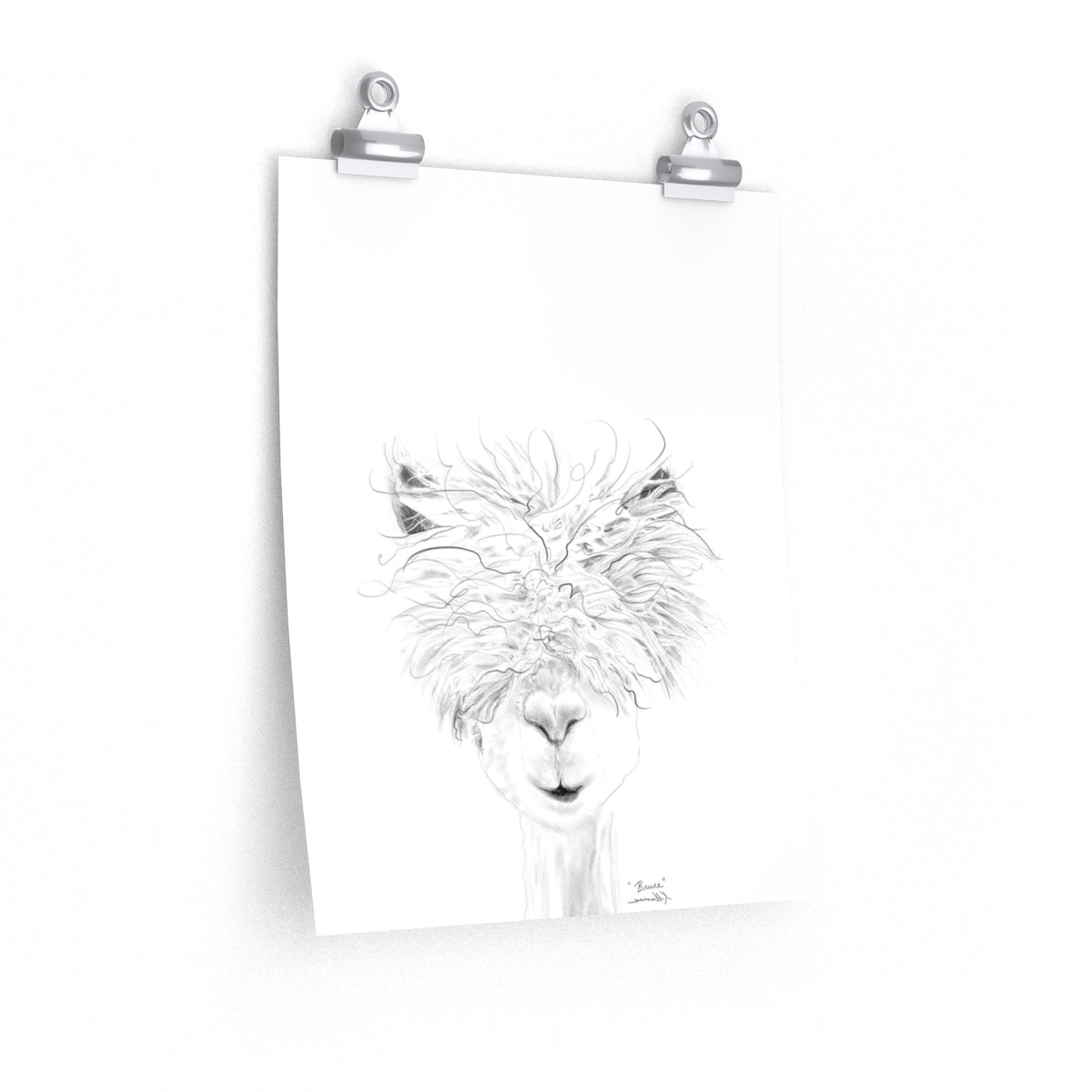 BRUCE Llama- Art Paper Print