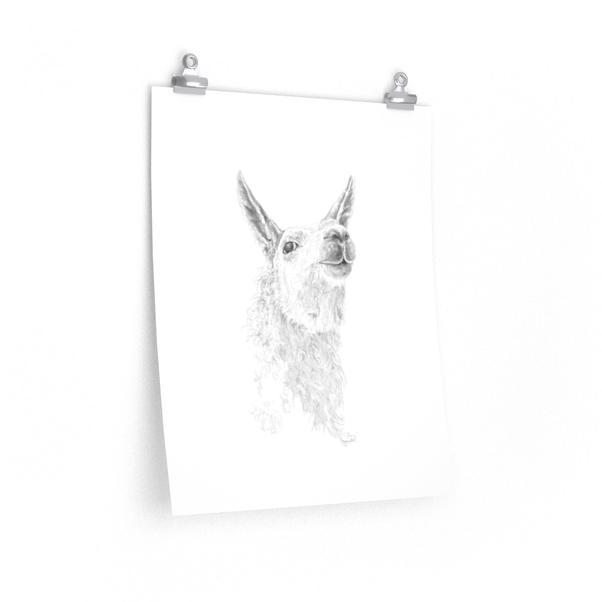 LARRY Llama- Art Paper Print