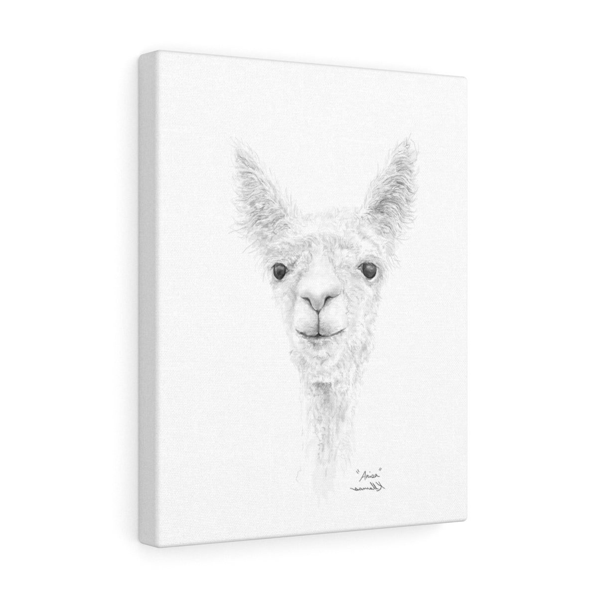 ANISA Llama- Art Canvas
