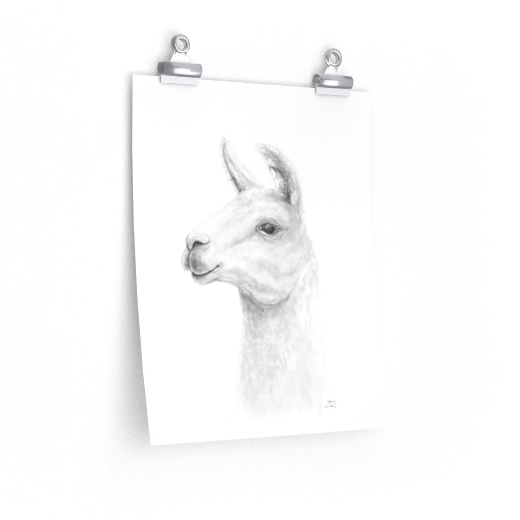 STACY Llama- Art Paper Print