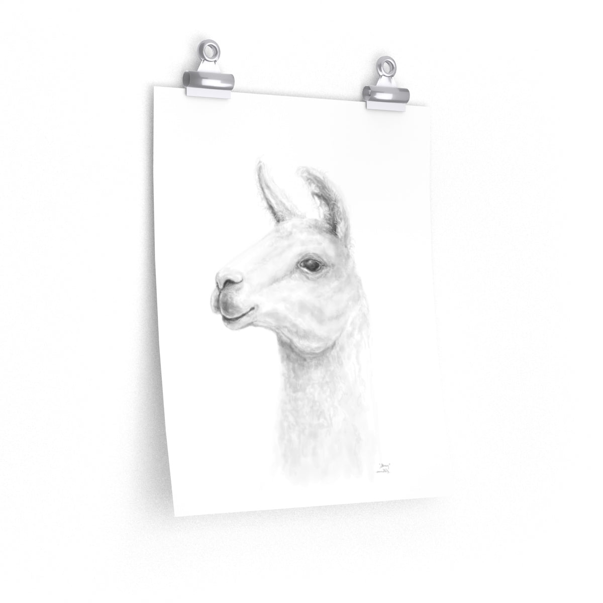 STACY Llama- Art Paper Print