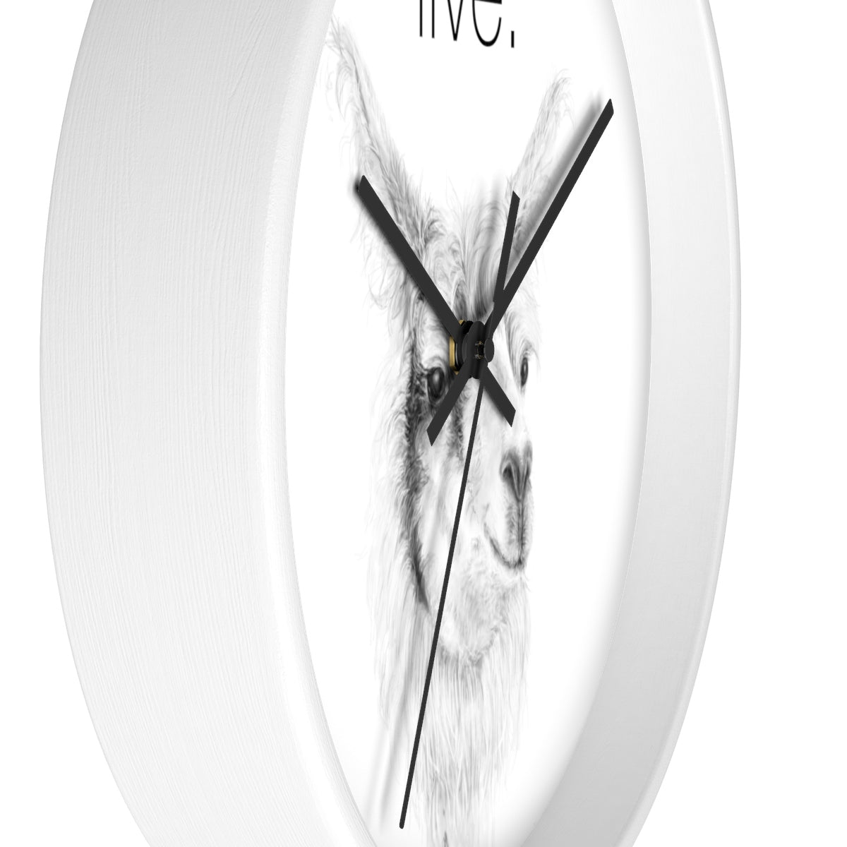 Llama LIVE Wall clock: ADAM