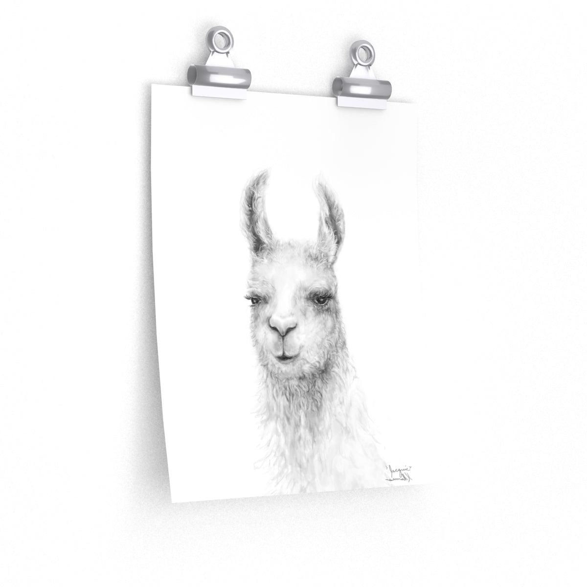 JACQUIE Llama- Art Paper Print
