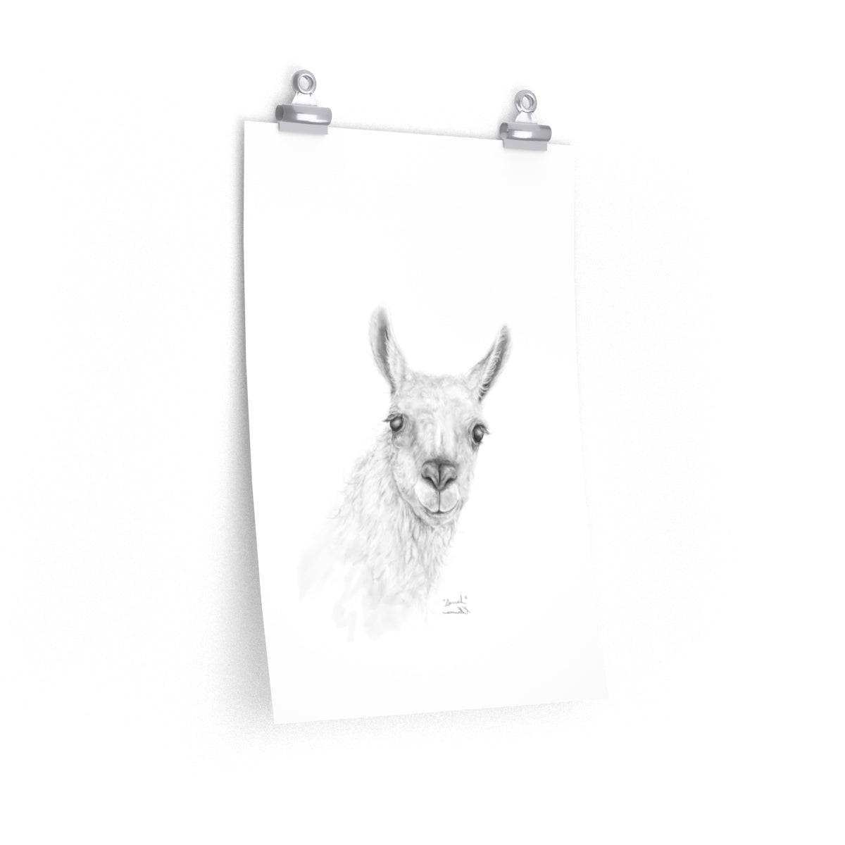 SARRAH Llama- Art Paper Print