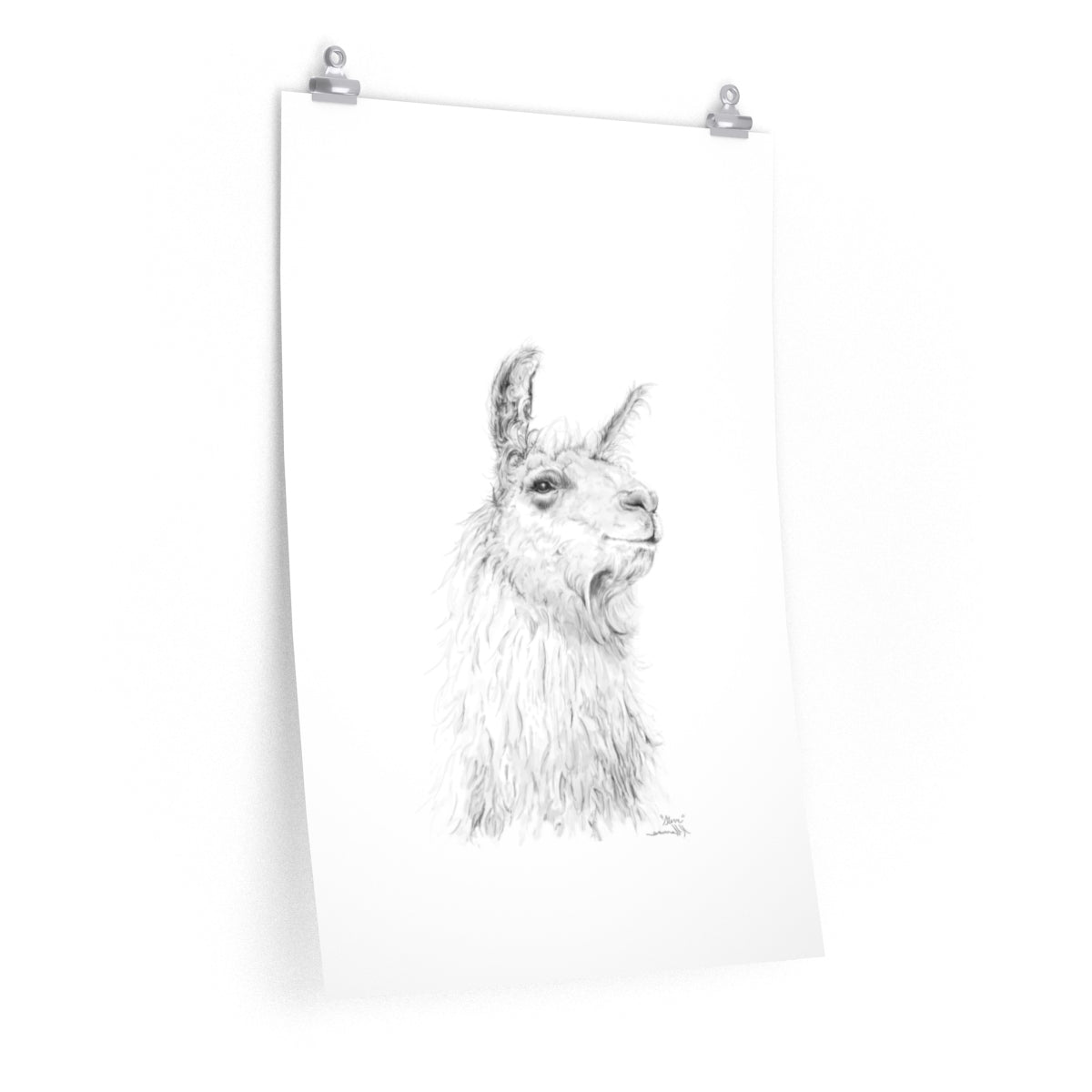 STEVE Llama- Art Paper Print