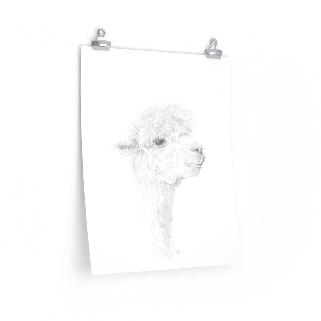 JULIANA Llama- Art Paper Print